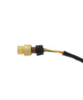 Boost Sensor Genuine Pai 350579