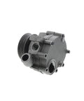 Water Pump Assembly Genuine Pai 381815