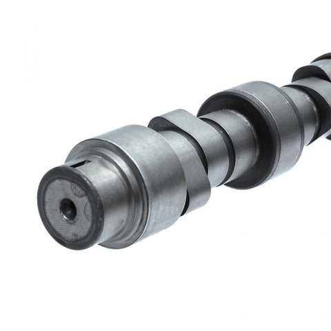 Camshaft Genuine Pai 391889