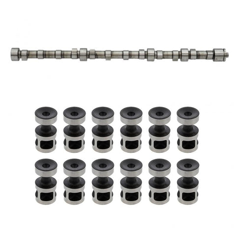 Camshaft Kit Genuine Pai 391905