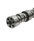 Camshaft Excel 391907E