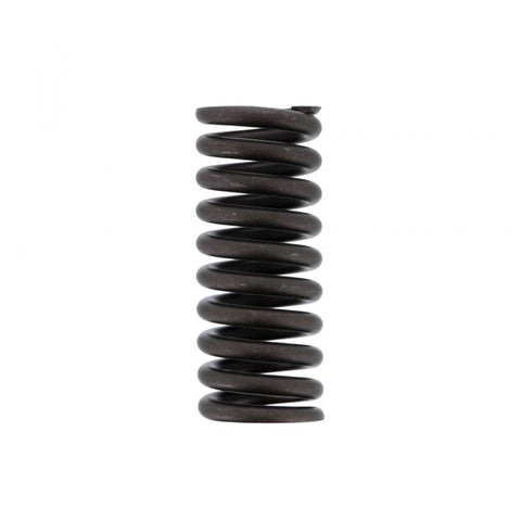 Valve Spring Genuine Pai 392040