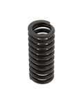 Valve Spring Genuine Pai 392040