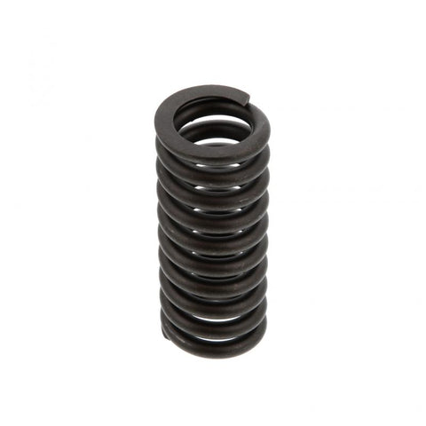 Valve Spring Genuine Pai 392040