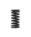 Outer Valve Spring Genuine Pai 392042