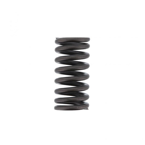 Outer Valve Spring Genuine Pai 392042