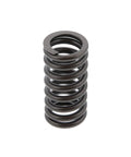 Outer Valve Spring Genuine Pai 392042