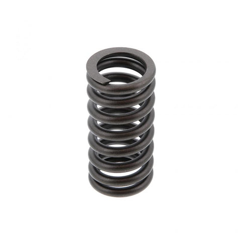 Outer Valve Spring Genuine Pai 392042