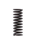 Inner Valve Spring Genuine Pai 392044