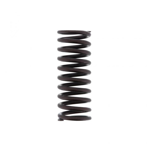 Inner Valve Spring Genuine Pai 392044