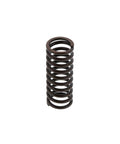 Inner Valve Spring Genuine Pai 392044