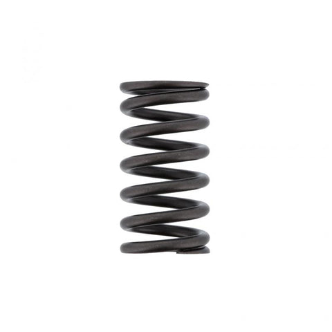 Inner Valve Spring Genuine Pai 392045