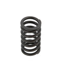 Inner Valve Spring Genuine Pai 392045