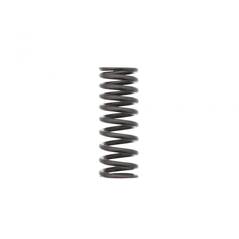 Inner Valve Spring Genuine Pai 392046