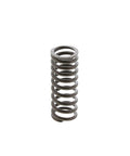 Inner Valve Spring Genuine Pai 392046