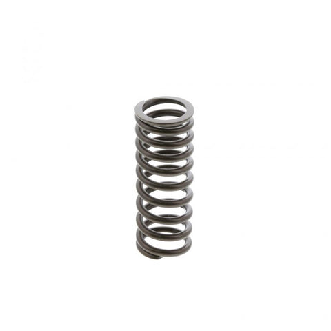 Inner Valve Spring Genuine Pai 392046