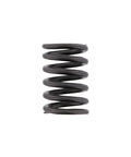 Valve Spring Genuine Pai 392047