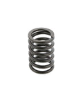 Valve Spring Genuine Pai 392047