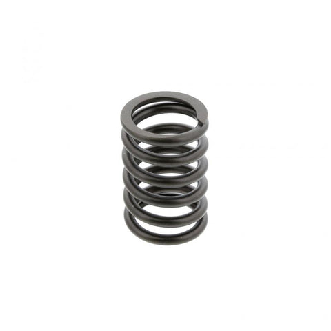 Valve Spring Genuine Pai 392047