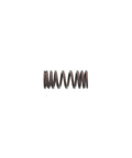 Outer Valve Spring Genuine Pai 392049