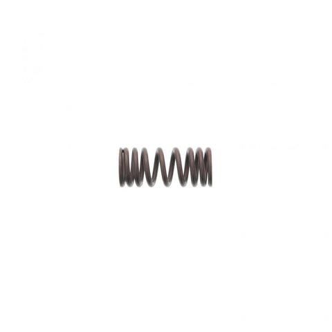 Outer Valve Spring Genuine Pai 392049