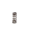 Outer Valve Spring Genuine Pai 392049