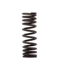 Inner Valve Spring Genuine Pai 392050