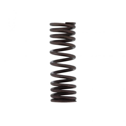 Inner Valve Spring Genuine Pai 392050