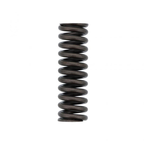 Exhaust Valve Spring Genuine Pai 392051