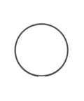 Oil Control Ring Genuine Pai 405037