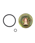 Dipstick Adapter Kit Genuine Pai 441184