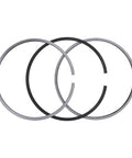 Piston Ring Set Genuine Pai 505173