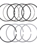 Piston Ring Set Genuine Pai 605059