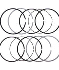 Piston Ring Set Genuine Pai 605068