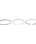 Piston Ring Set Genuine Pai 605070