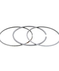 Piston Ring Set Genuine Pai 605084