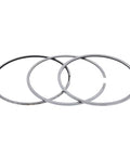 Piston Ring Set Genuine Pai 605088