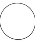 Dpf Gasket Genuine Pai 631357