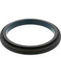 Rear Seal Genuine Pai 636024