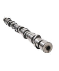 Camshaft Genuine Pai 691920