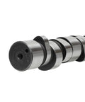 Camshaft Genuine Pai 691921