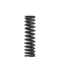 Intake Valve Spring Genuine Pai 692004