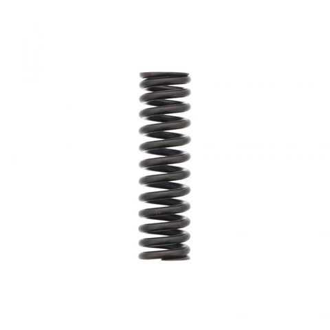 Intake Valve Spring Genuine Pai 692004