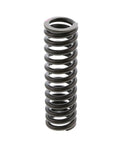 Intake Valve Spring Genuine Pai 692004