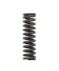 Valve Spring Genuine Pai 692007