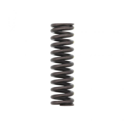 Valve Spring Genuine Pai 692007