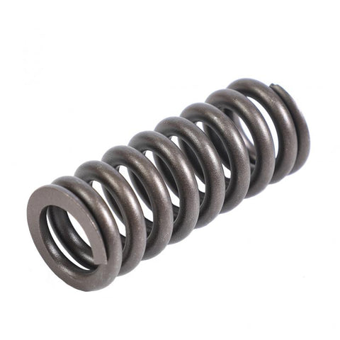 Valve Spring Genuine Pai 692010