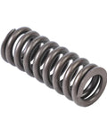 Valve Spring Genuine Pai 692010