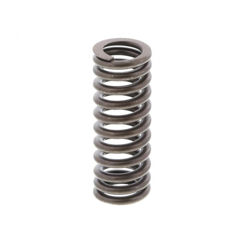 Valve Spring Genuine Pai 692013