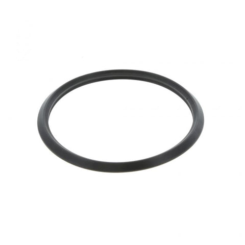 Thermostat Seal Genuine Pai 740024